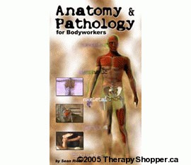 Anatomy & Pathology (DVD)