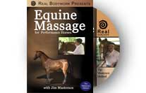 Equine Massage